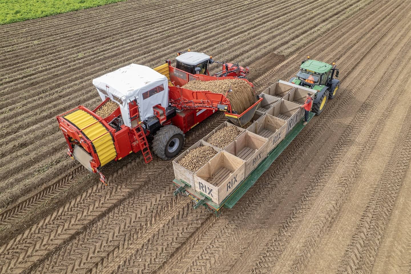 Rix Farms potato harvesting into boxes