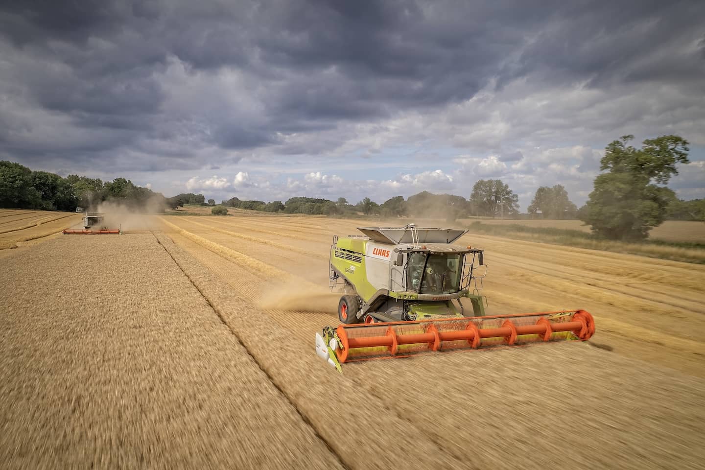Sam Rix Farm Quality Cereals: Wheat, Barley & More at Rix Farms